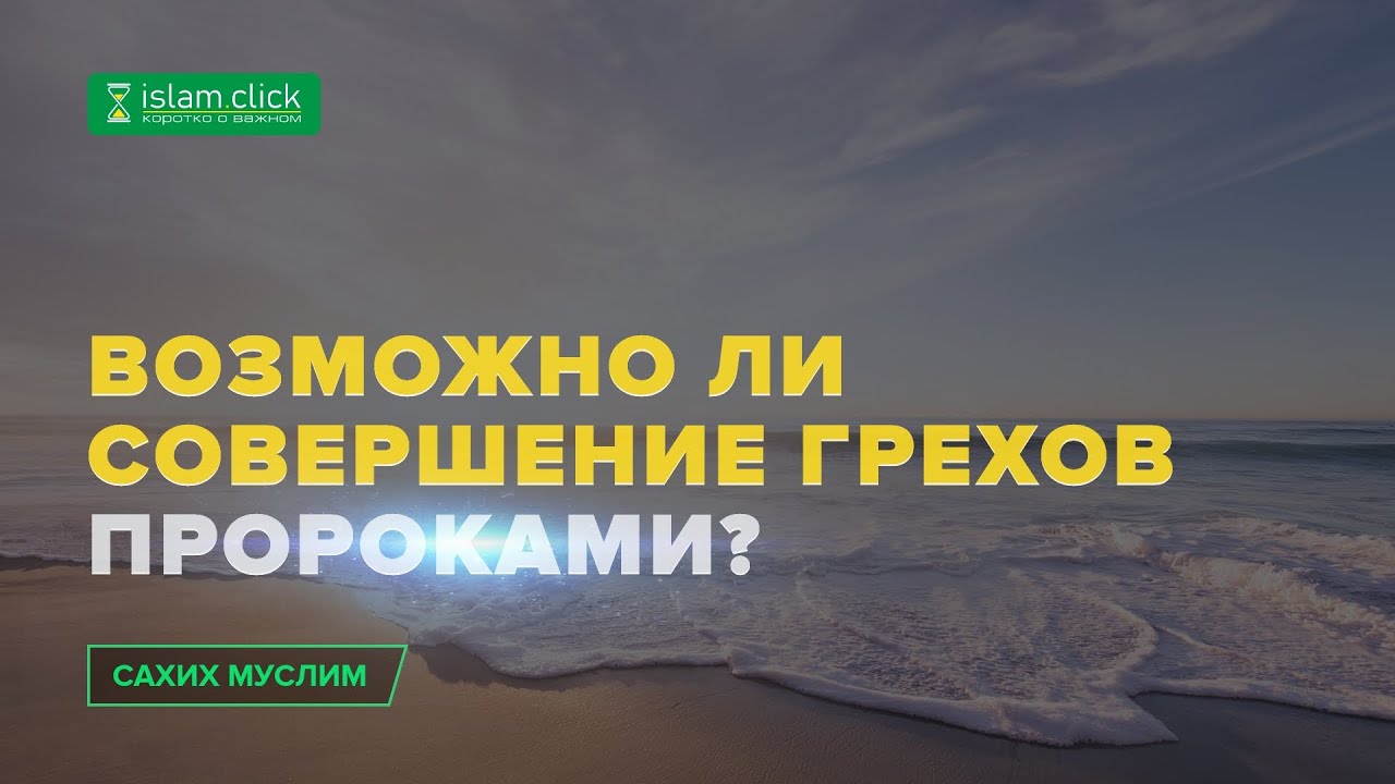 ВОЗМОЖНО ЛИ СОВЕРШЕНИЕ ГРЕХОВ ПРОРОКАМИ? | Шейх Усаймин «Сахих Муслима» | Шейх Абу Яхья