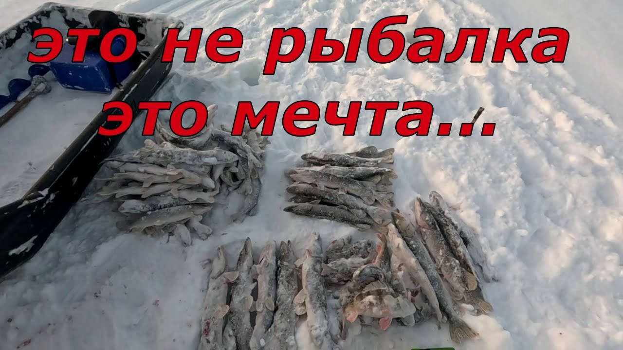Попал на раздачу, полтора мешка щук и окуней с одной лунки.