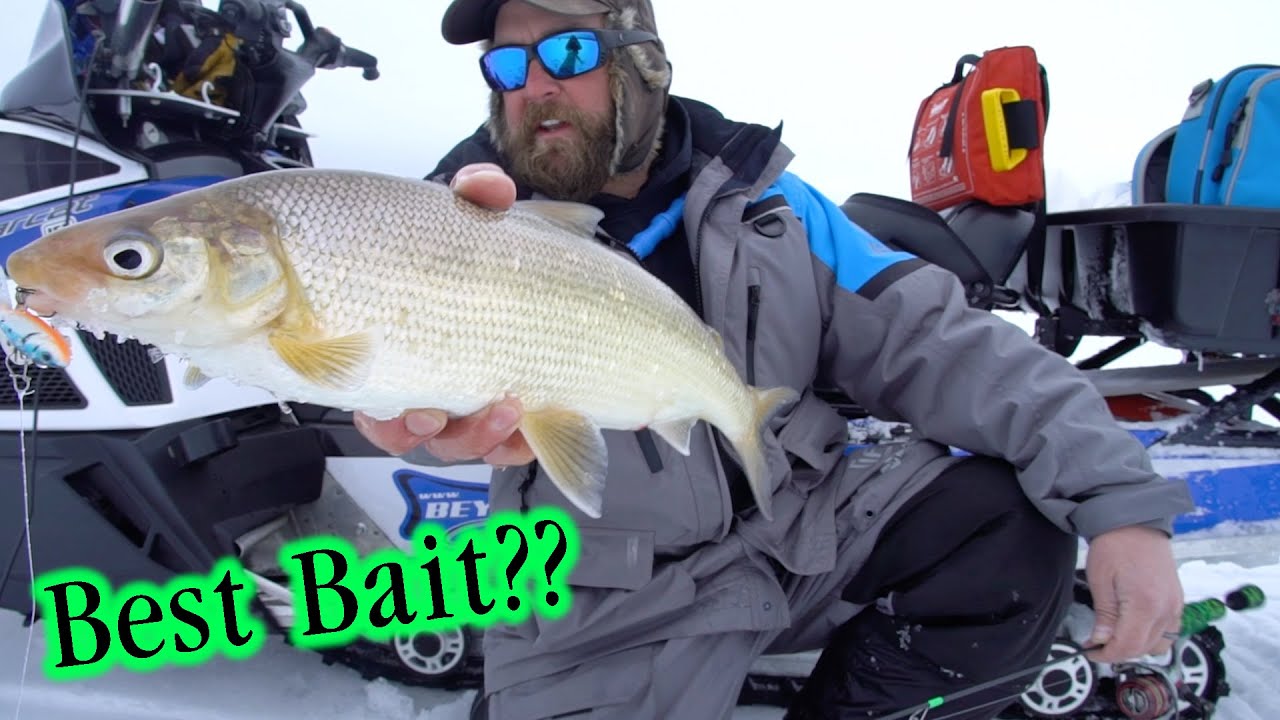 Best Ice Tips for Lake Superior (Beautiful Fishing)