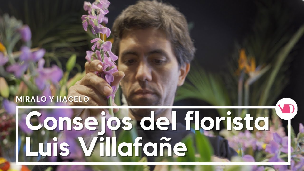Consejos de floristas - Luís Villafañe