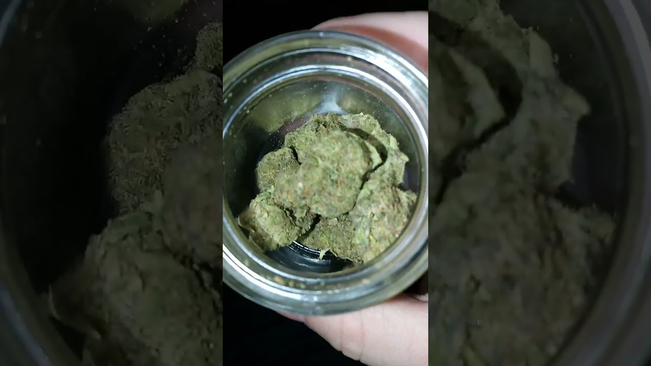 CANNANC HAUL! Northern Lights, Skunk #1, Purple Certz, Hindu Kush, Afghani, MAX Gummies + More!