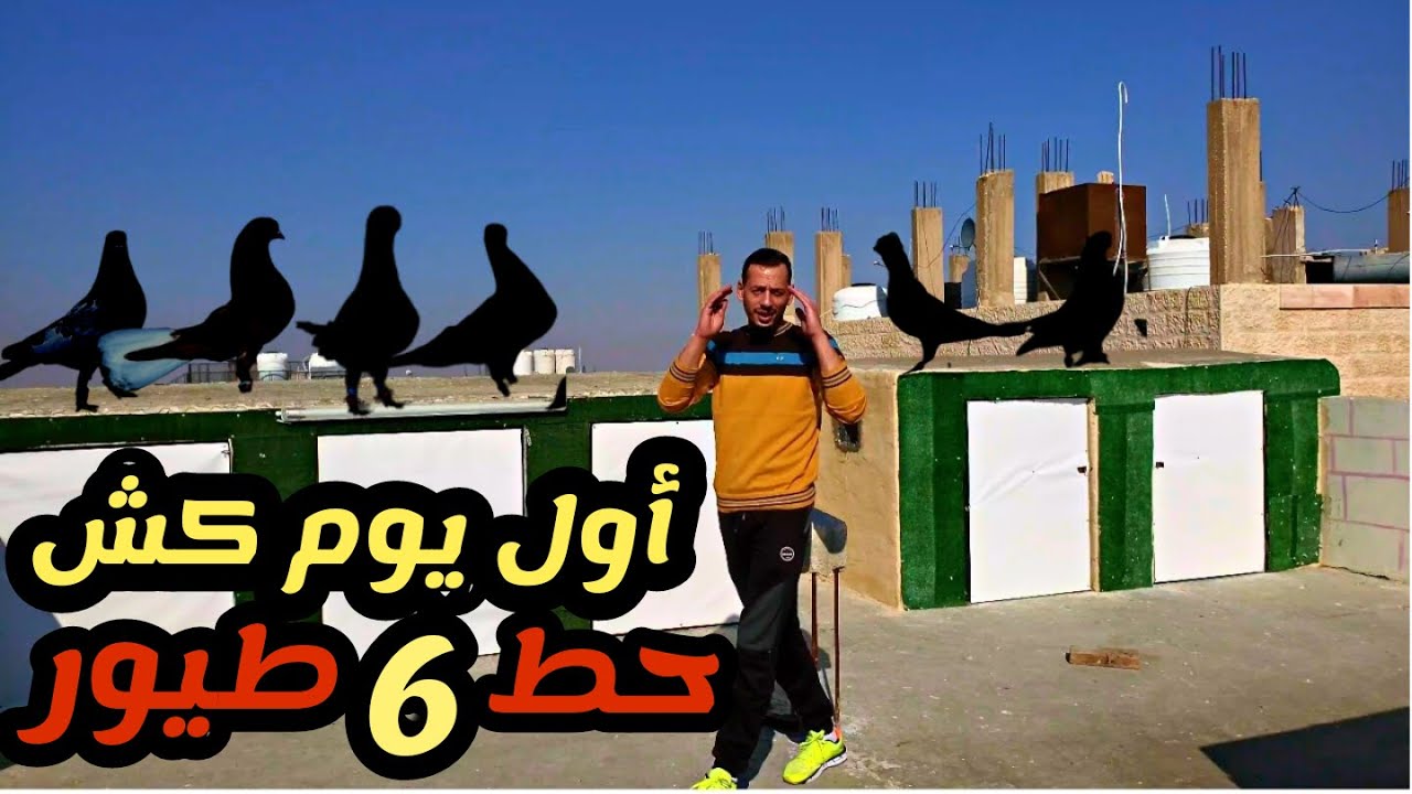 صيد 6 طيور في أول يوم بتطلع فيه الحمام بس شو عملت بالطيور