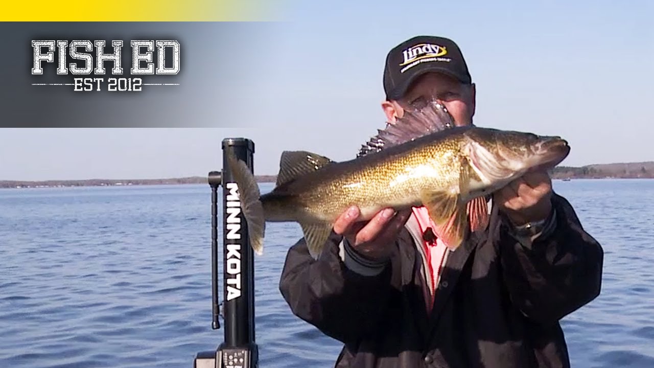 Spring Walleye Transitions