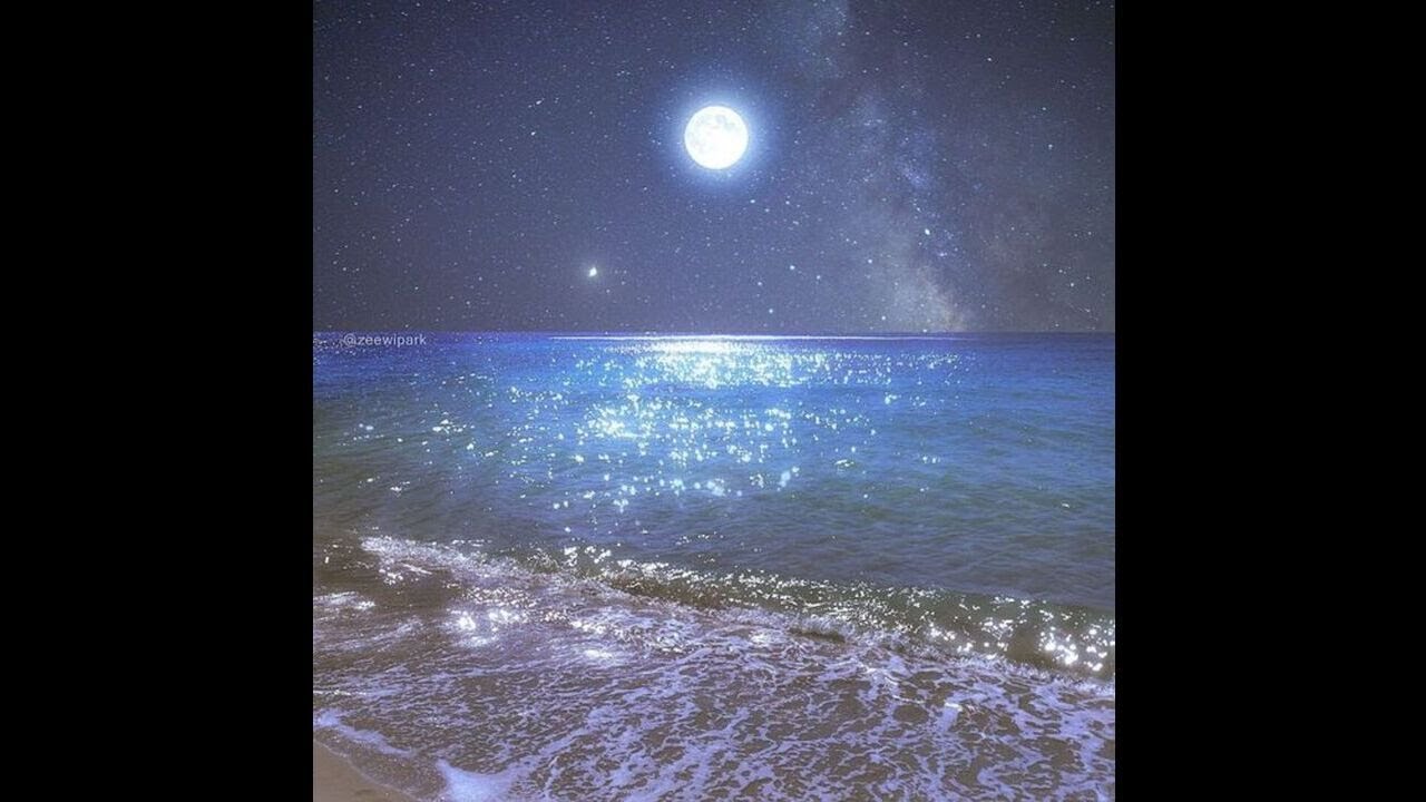 PARADISE