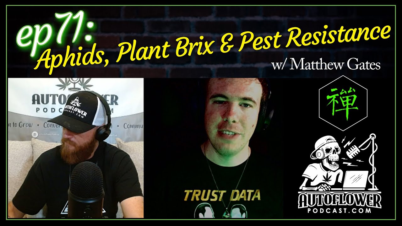 Ep71: Dealing with Aphids & Chatting About Brix with Matthew Gates from Zenthanol Consulting
