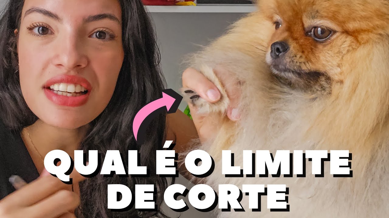 COMO CORTAR UNHA PRETA DO SPITZ ALEMÃO