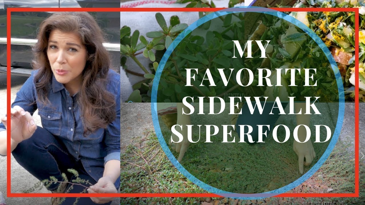 What is Purslane?  A Secret, Scrumptious Superfood!