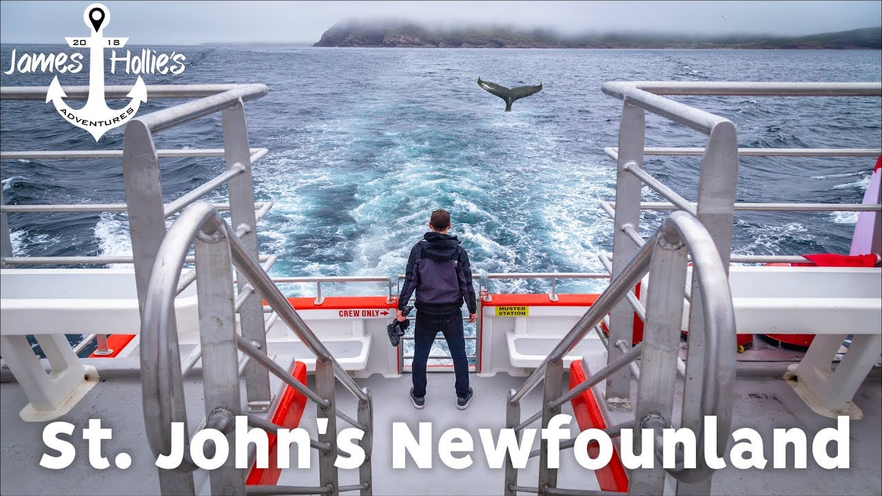 1 DAY IN St. JOHN'S NEWFOUNDLAND CANADA - Whale Watching & Signal Hill | Barbster360 Travel Vlog