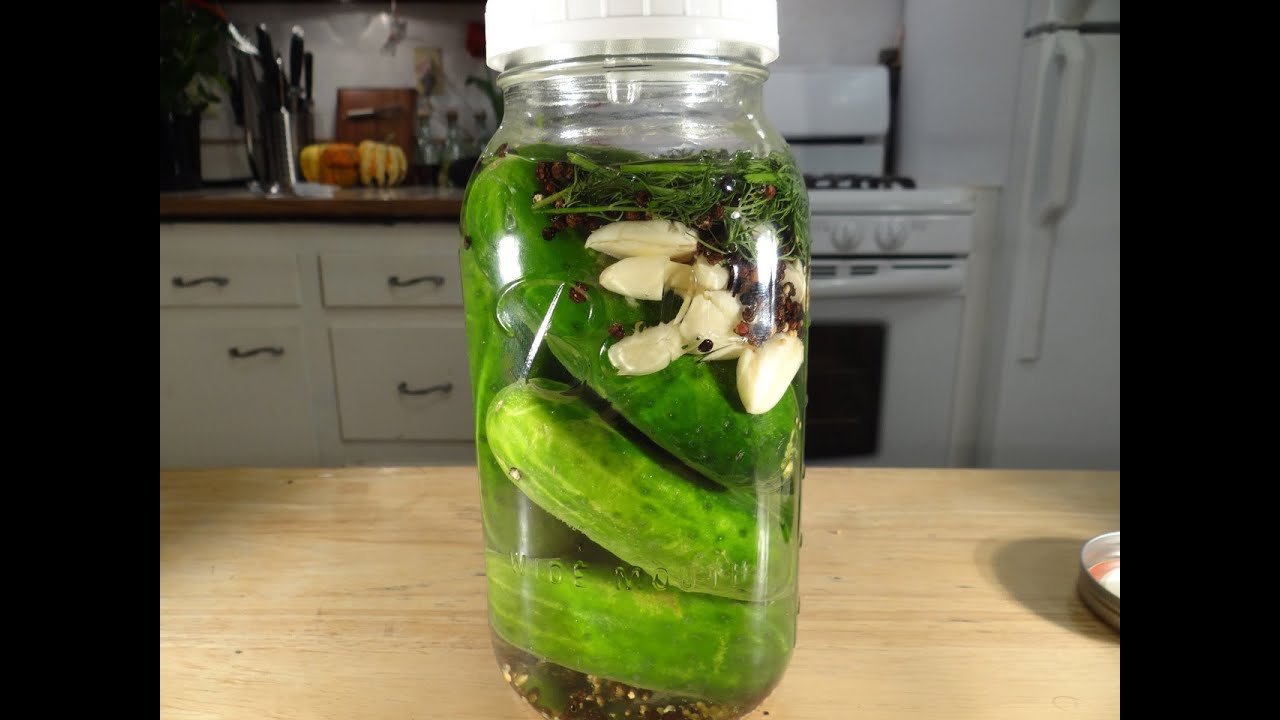 Homemade Dill Pickles (Lacto-fermented)