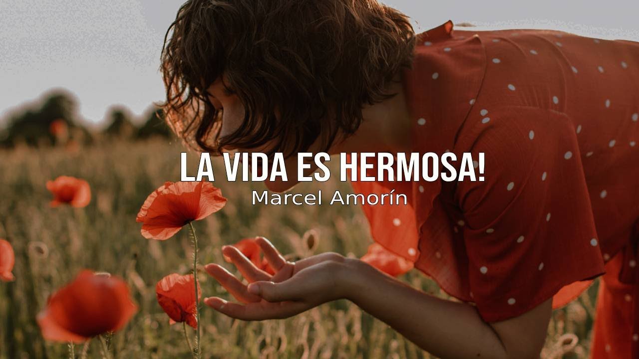 LA VIDA ES HERMOSA ¦ frases sabias, consejos, reflexión, motivación