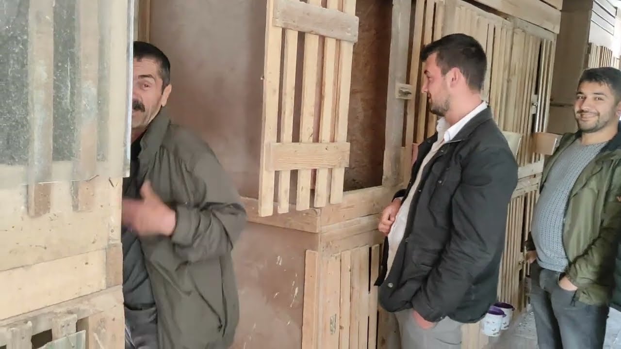 /// RÜZGÂRLI HAVADA GÜNEŞE ALDANMAYIN ///