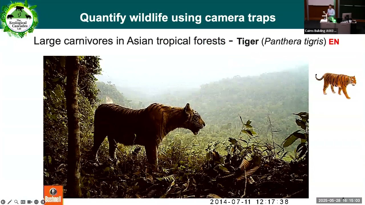 Seminar 9: Using Cameras and AI to Study Ecological Cascades and Global Change Biology