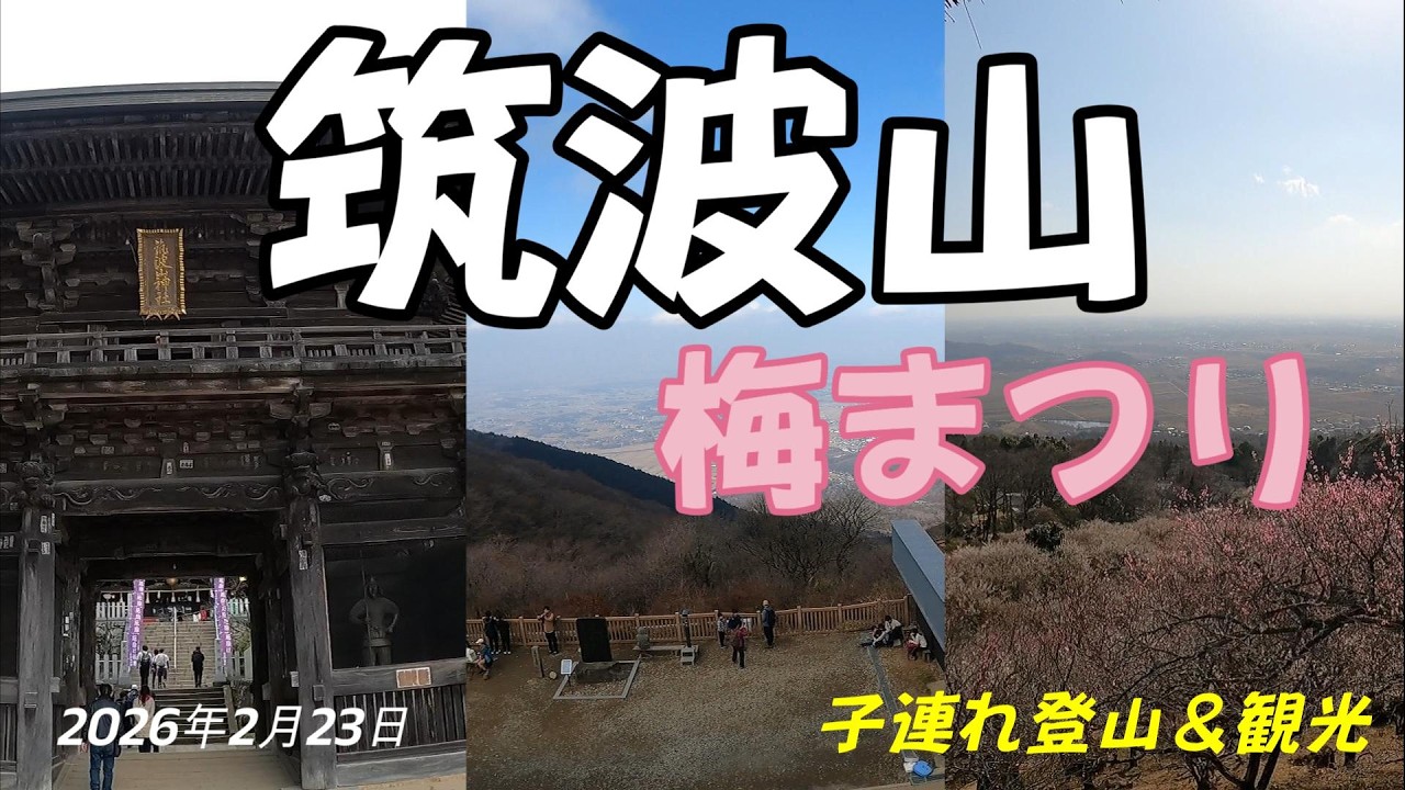 【筑波山】子供と登る日本百名山！満開の梅まつりと絶景ハイキング