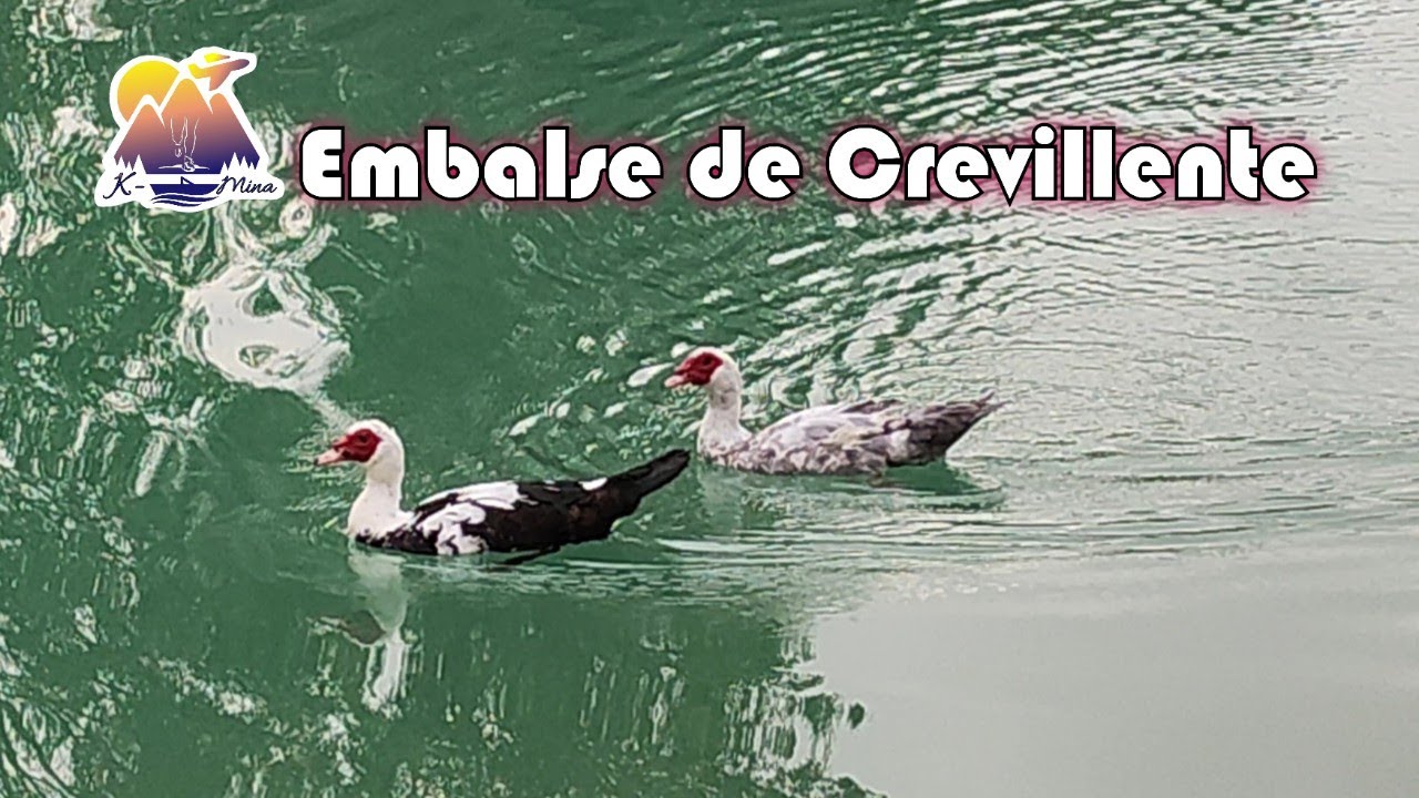 Embalse de Crevillente (Alicante)