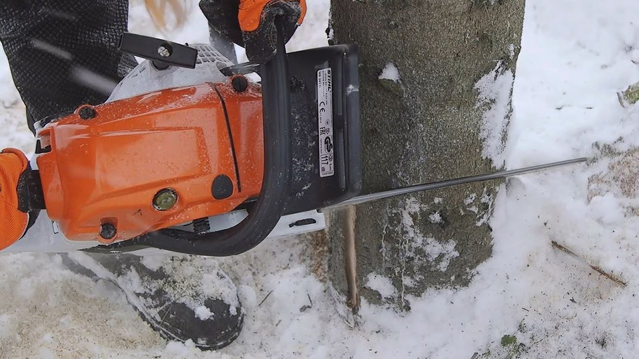 N&auml;in kaadat puun