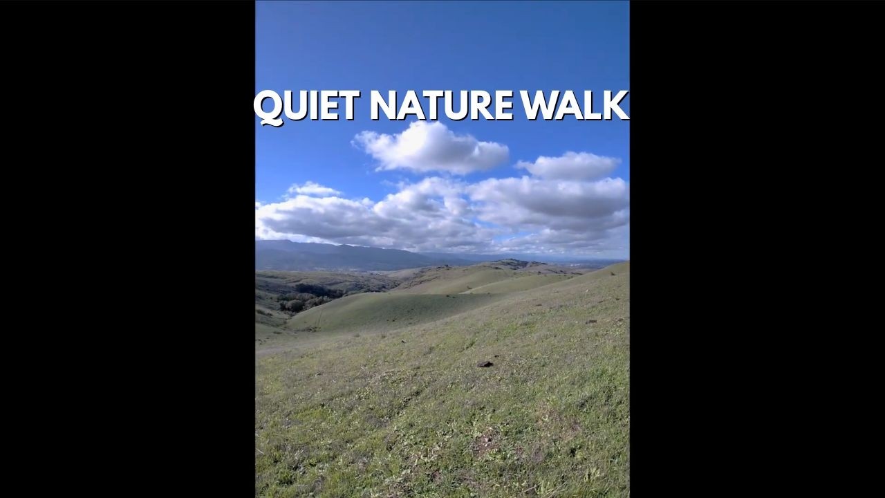 Coyote Peak Loop POV: Quiet Steps ASMR Hike (Santa Teresa Park)