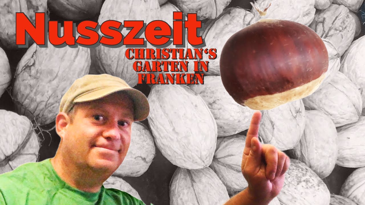 Nusszeit. Esskastanien. Äpfel und Gemüse abernten und einlagern, bevor der erste Frost zuschlägt.