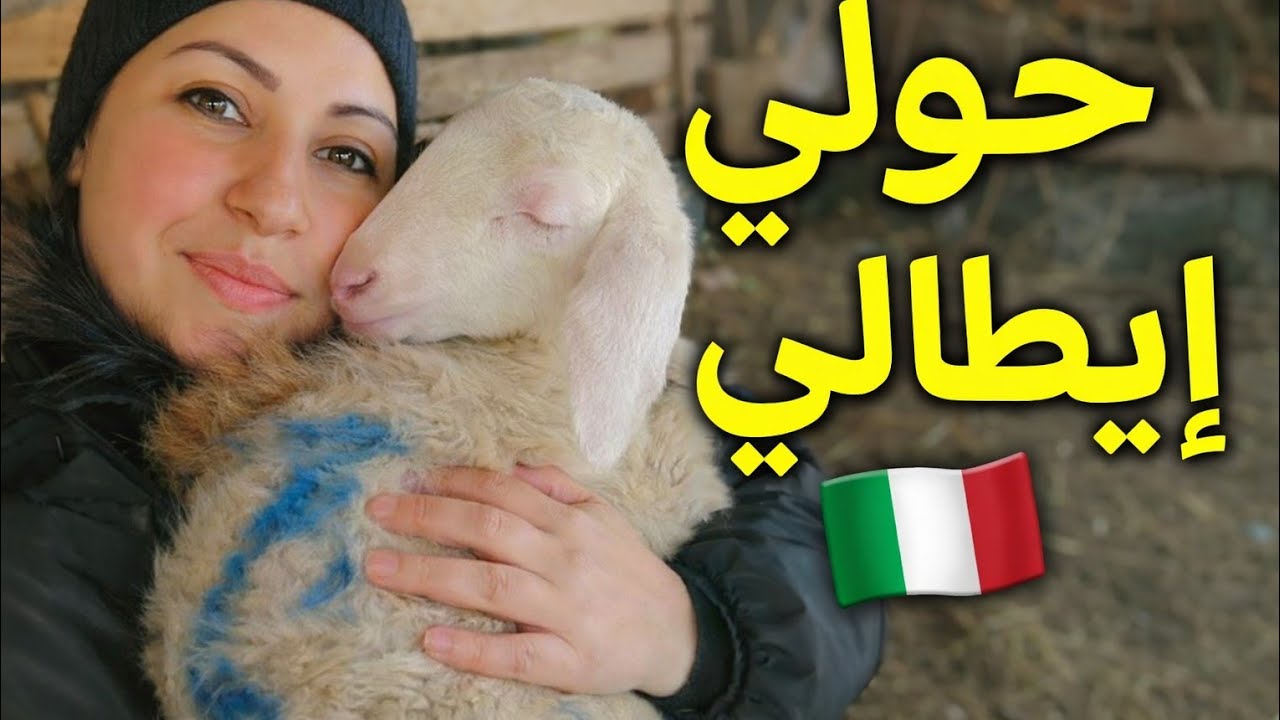 شرّينا حولي 🐏من مزرعة إيطالية🇮🇹شوفو كيف داز نهارنا روعة في فيرما كلشي موجود فيها