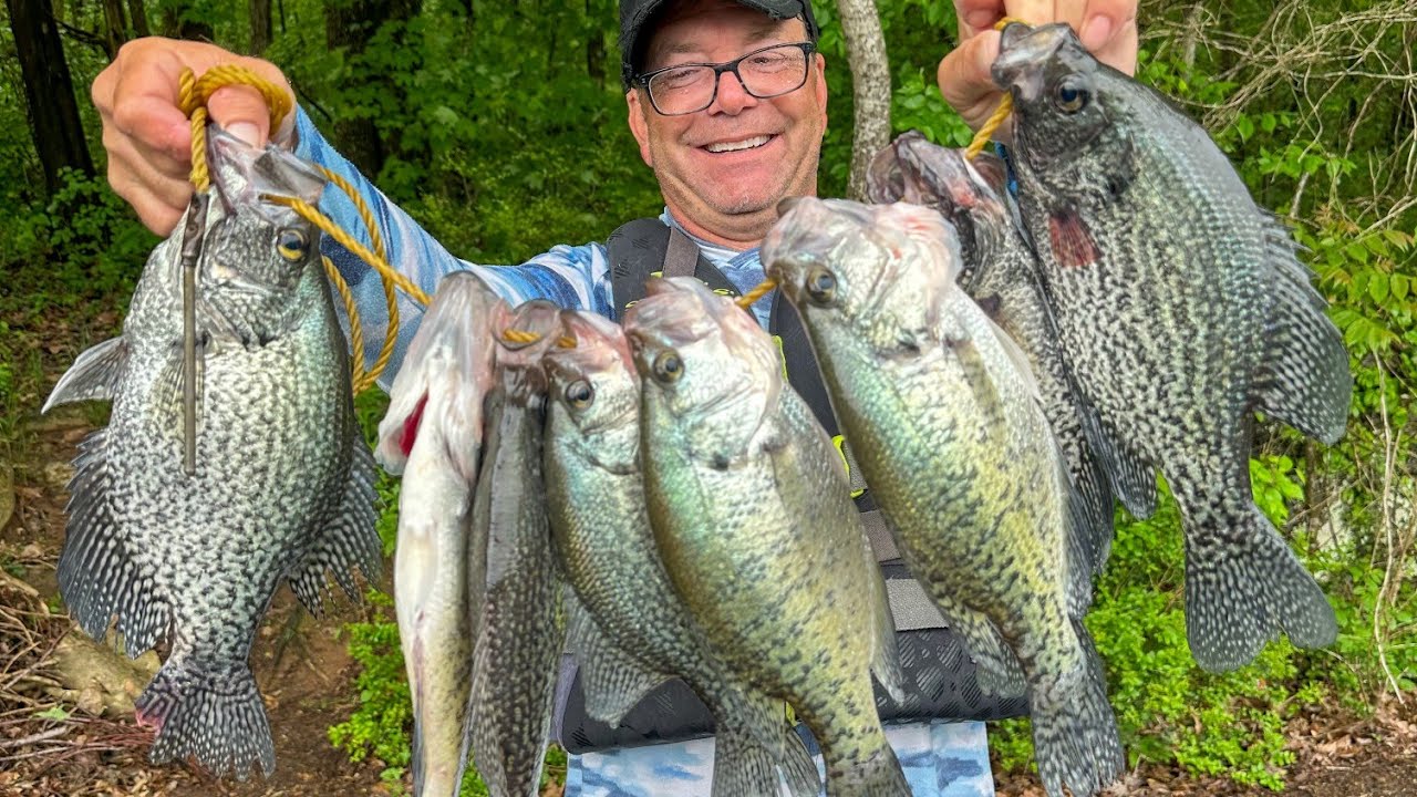 WHERE TO LOAD YOUR CRAPPIE STRINGER, PERCY PRIEST LAKE