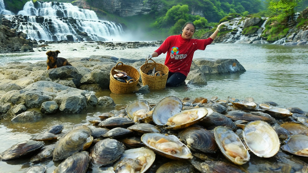 Harvest Natural River Clams To Sell At The Market And Cook A Delicious Clam Porridge - Farming.