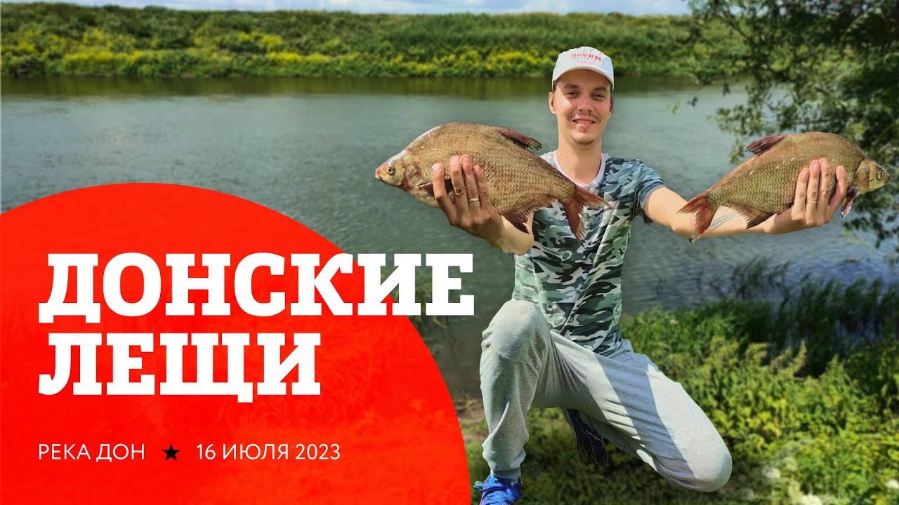 Ловля леща на Дону в Липецкой области