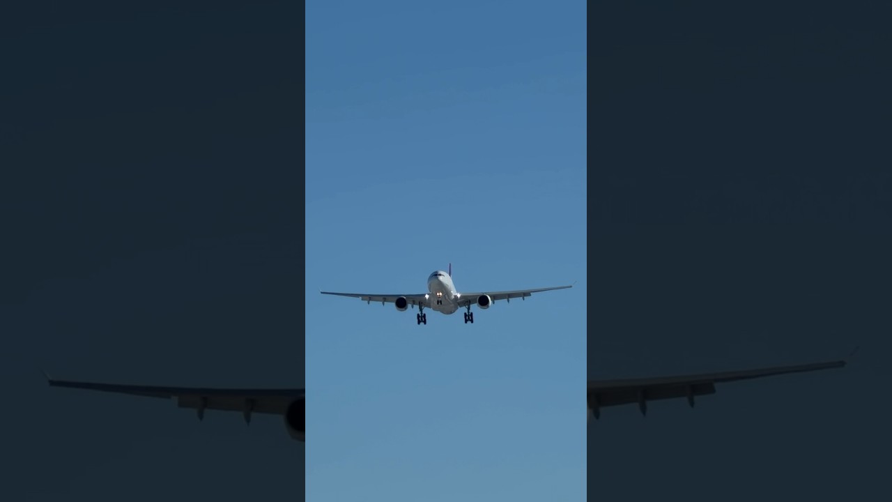 Hawaiian Airlines Airbus A330-200 (A332) arrives at Las Vegas (LAS) | N396HA | 