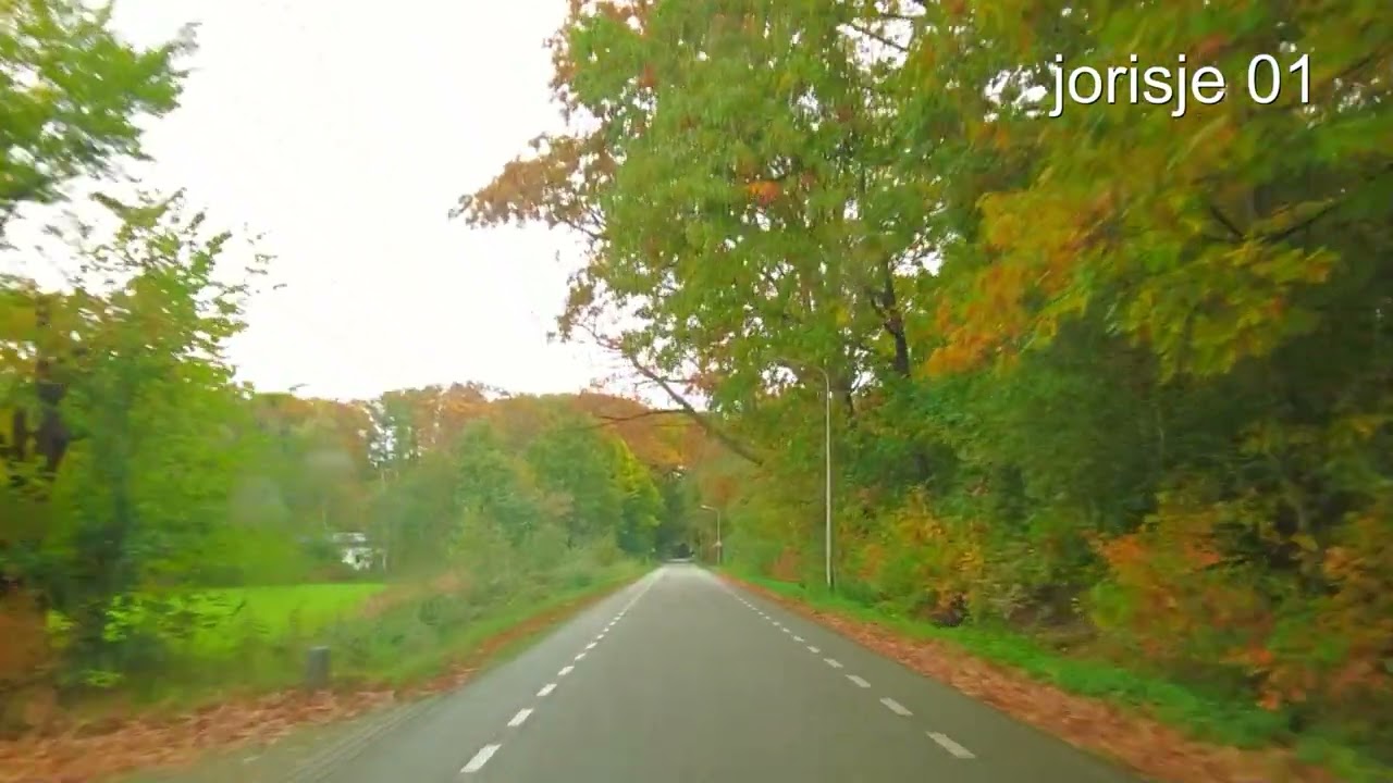 Rekken Berkelland herfstkleuren 2025
