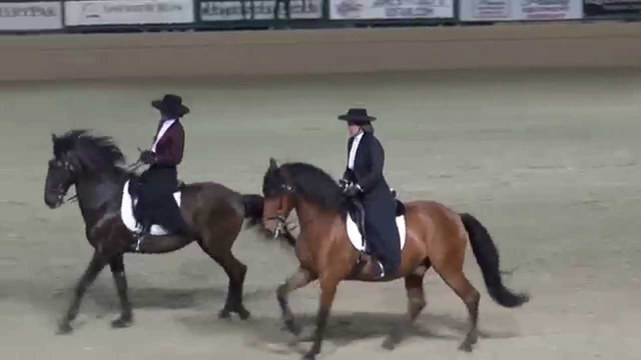 PAS DE DEUX - Kim Spero & Sarah Pinney - Night of the Horse 2015 - Del Mar National Horse Show