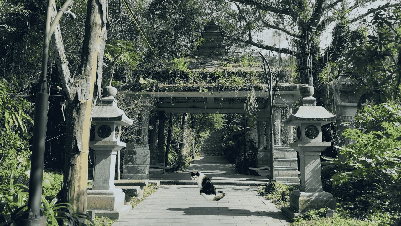 0人潮 極致療癒步道🌿 一個人沉浸式重啟 No Talking