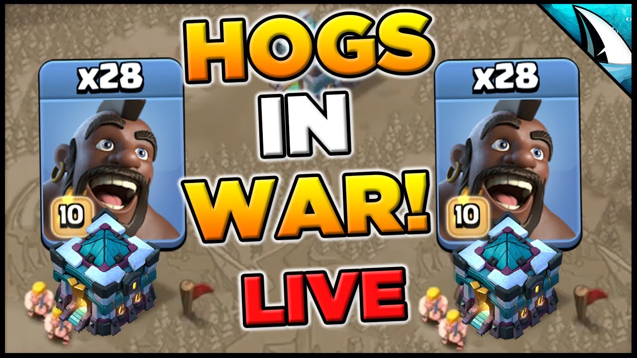 Hog Attack Strategy in War at Town Hall 13 Destroys! Live TH 13 War Attacks | Clash of Clans
