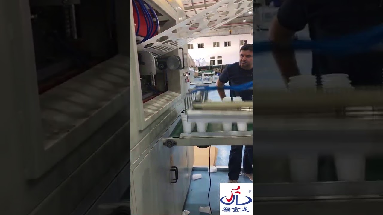 FXL-750B II Plastic Cup Thermoforming Machine With Robot Stacker
