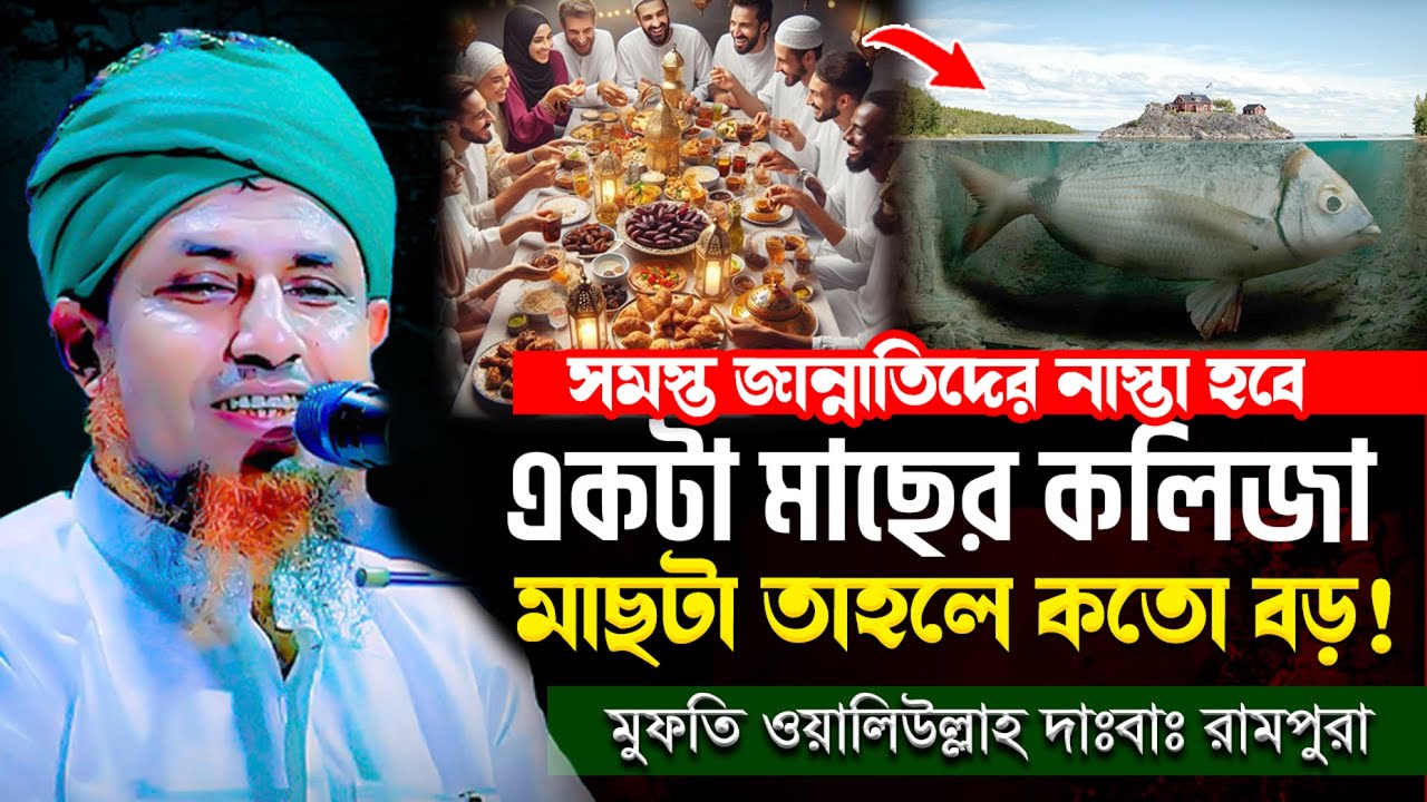 একটা মাছের কলিজা দিয়ে সমস্ত জান্নাতিদেরকে নাস্তা দেয়া হবে ! অবাক করা ঘটনা | মুফতি ওয়ালিউল্লাহ ওয়াজ