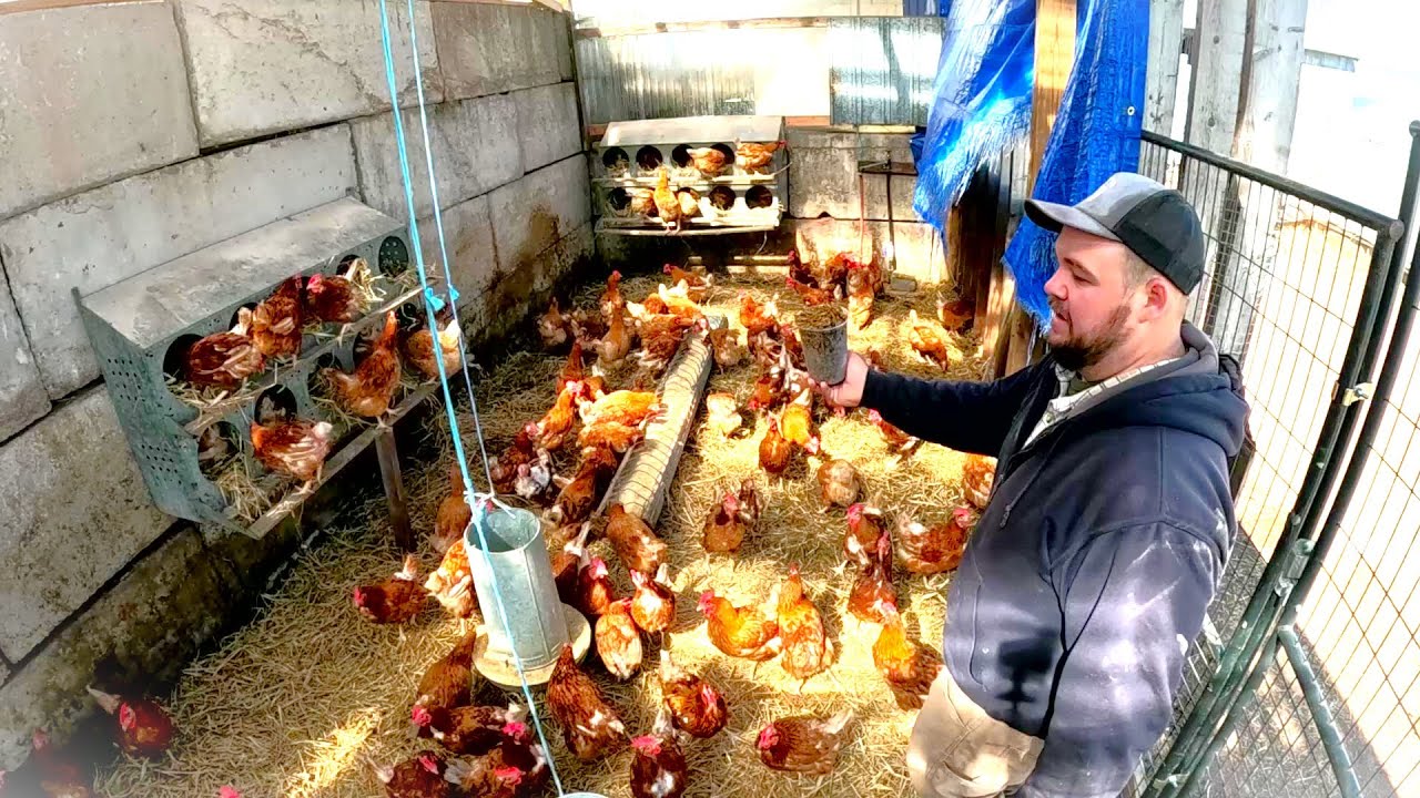 A HUGE change for our farm