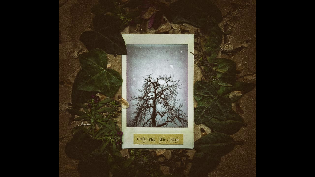 Palmer Eldritch - The Rose, The Phoenix, The Crowned King