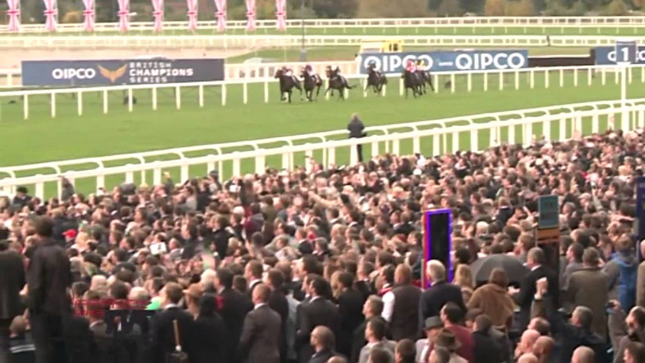 Frankel better than Black Cavier ? (All truth in this video)