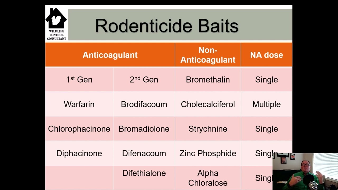 Brodifacoum Unleashed: Mastering Rodent Control with Precision