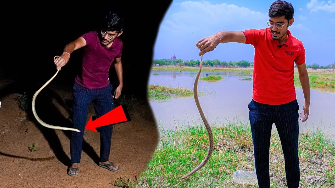 Dangerous Snake Rescue By Crazy XYZ | मुझे साँप ने काट लिया?