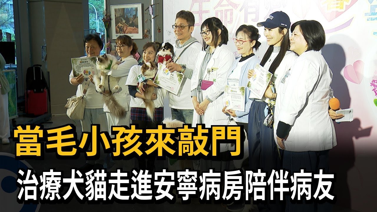 毛小孩來敲門 治療犬貓走進安寧病房陪伴病友－民視新聞