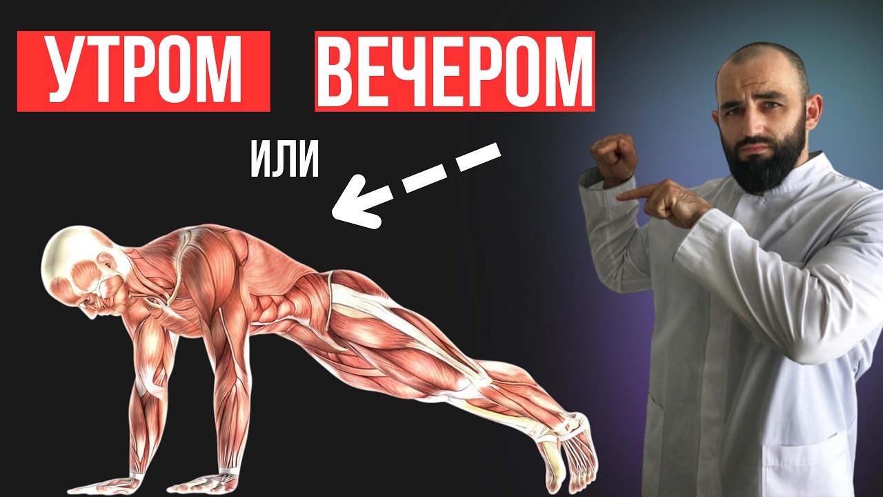 Когда лучше ТРЕНИРОВАТЬСЯ?