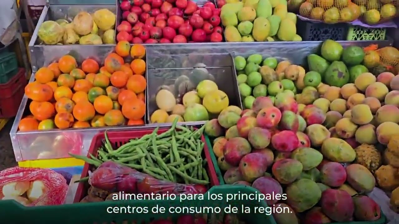 Inicia el diagnóstico para el diseño del SARA en Bogotá-Cundinamarca