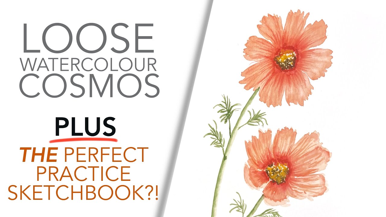 How to Paint a Watercolour Cosmos Flower - Step by Step Tutorial and Sketchbook Tour & Review