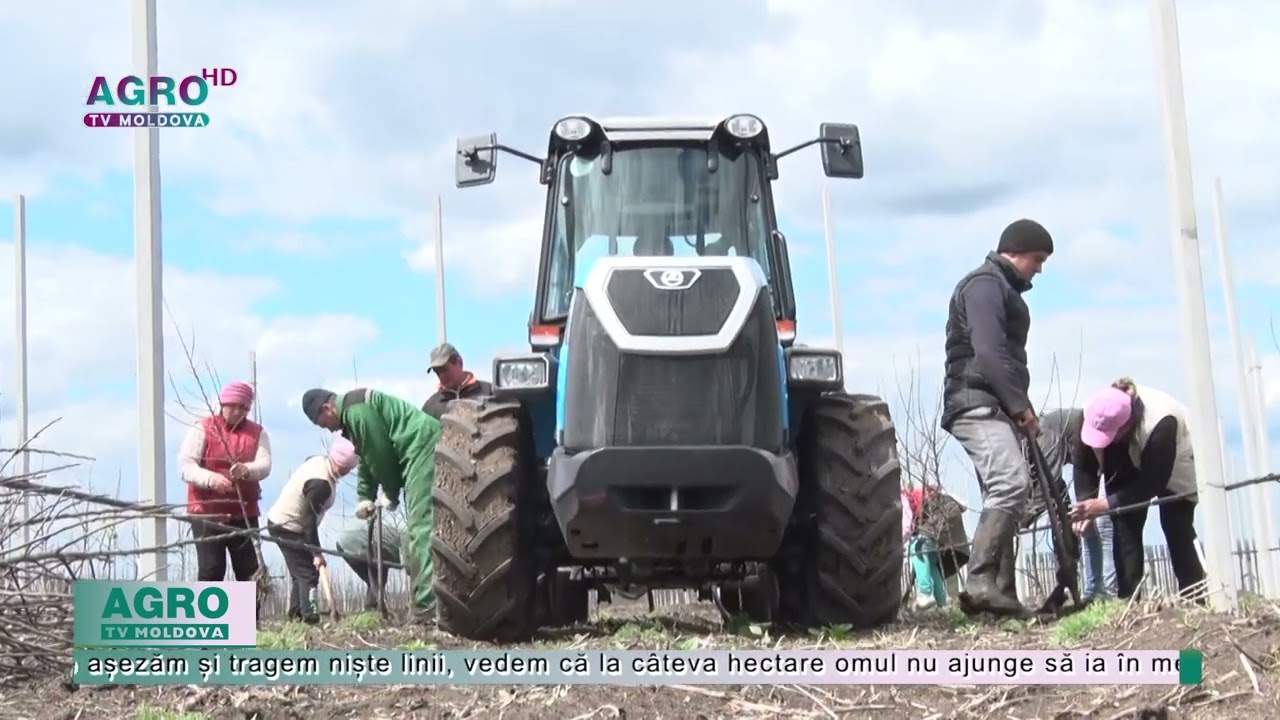 Agricultura este mai degrabă un hobby dec&acirc;t o afacere &ndash; AGRO TV News