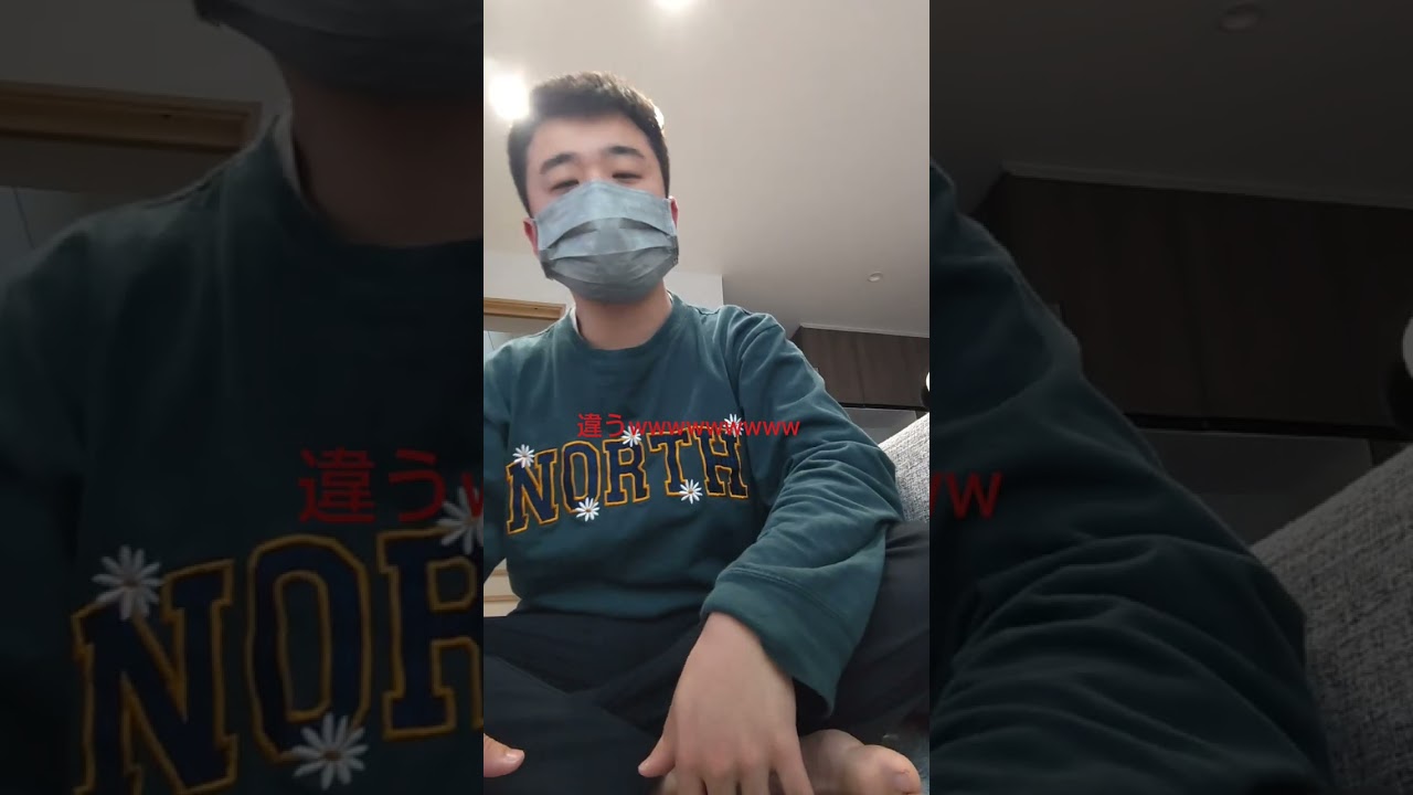 夕方のソフビ紹介です🎶🎶🎶🎶🎶🎶