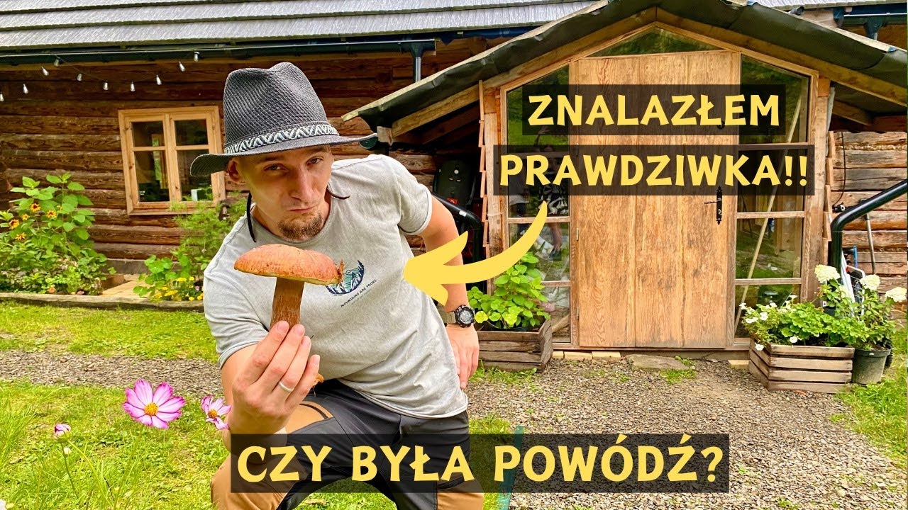 Czy była powódź? Pierwsze grzyby w lesie!