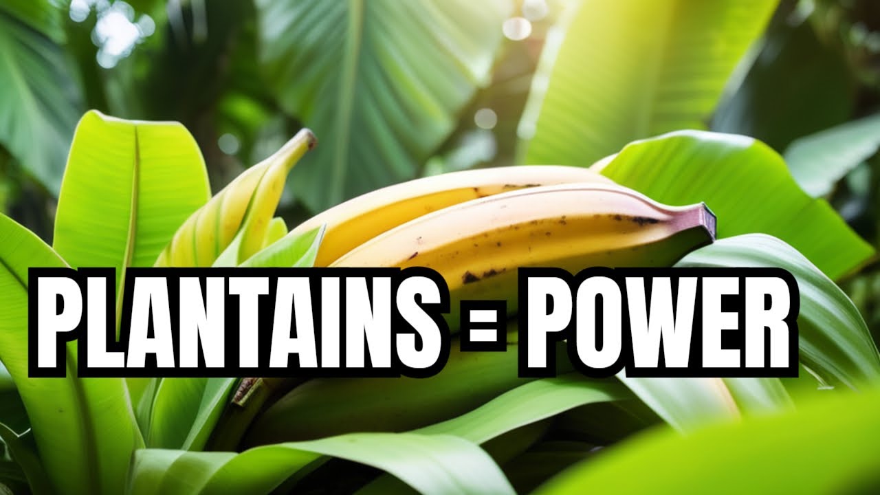 Unveiling the Remarkable Health Benefits of Plantains!