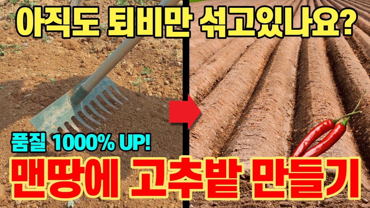 영양 가득한 고추밭 만드는 방법ㅣ밭장만ㅣ밭만들기ㅣ이랑ㅣ고랑ㅣ두둑