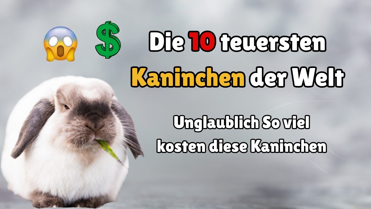 Die 10 teuersten Kaninchen der Welt – Luxus-Bunnys mit unglaublichen Preisen! 🐰💰