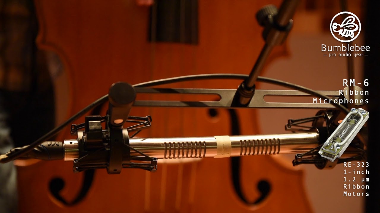 Professor Dan's Bumblebee Ribbon Mic Shootout - Acoustic Bass Edition