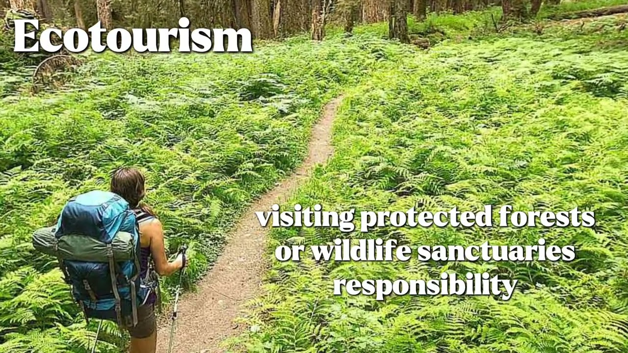 12 types of tourism#nocopyrightmusic #schoolpurposesonly 