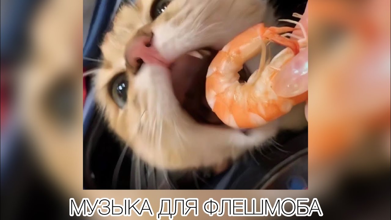 музыка для флешмоба❤️‍🩹